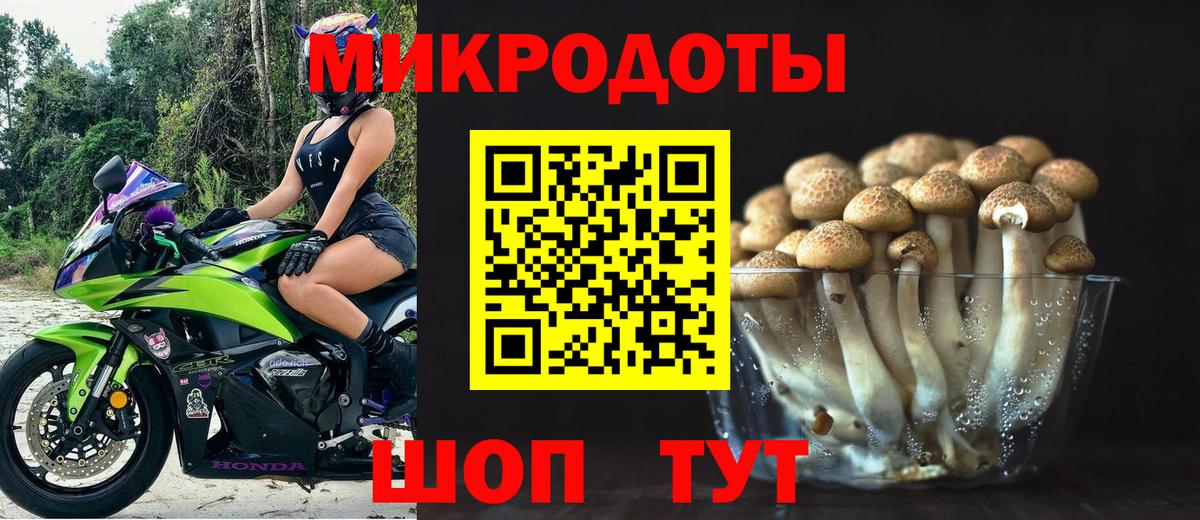 Галлюциногенные грибы Magic Shrooms  Псилоцибиновые грибы прущие грибы  Вход с VPN  Клинцы 